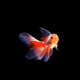 ℍ𝕖ũ𝕡𝕠𝕄ы 🫥