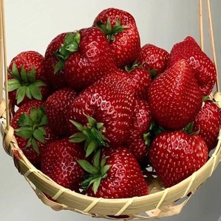 ВИТАМИНЫ ОТ АМИНЫ ((03))