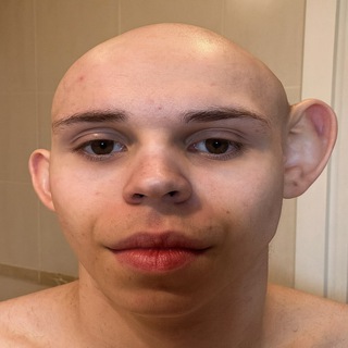 ANDRYXAORGY