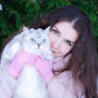 ASMR KittyKlaw 🐈