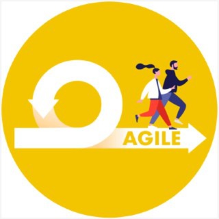 Agile environment 🤷‍♂️