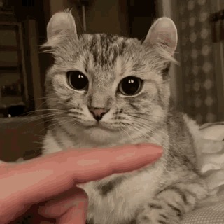 ЧатАльтушки💤👉👈