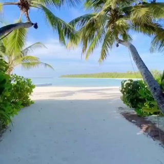 AM_travel_