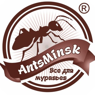 AntsMinsk Official