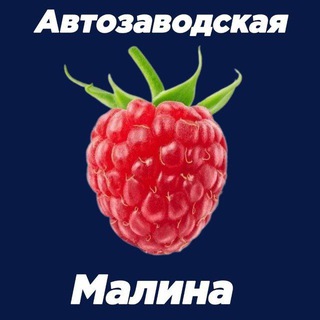 Автозаводская Малина | Торпедо