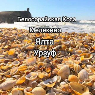 Белосарайская Коса / Мелекино / Ялта / Урзуф Отдых / Жилье