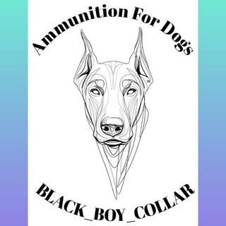BLACK_BOY_COLLAR