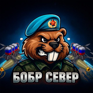 БОБР СЕВЕР