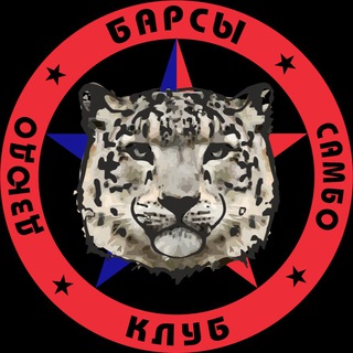 БАРСЫ