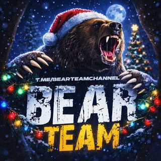 Bear Team 🐻