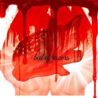 ПЕРЕХОДНИК Bed of Razors