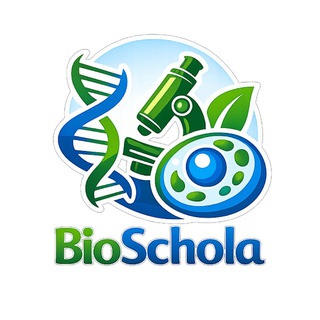 BioSchola | В мед без хаоса