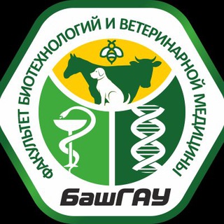 ВЕТики🐾
