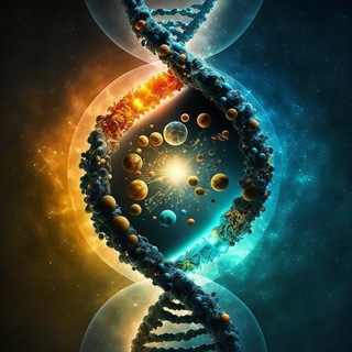🧬BioPhoria | Нац сертификат