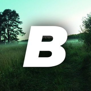 Bloxpy