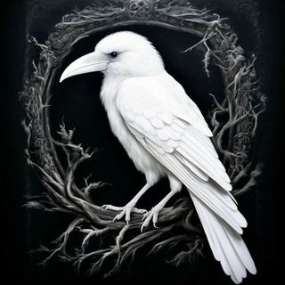 🐦‍⬛️Белая ворона