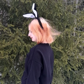 Bugs' House🐰