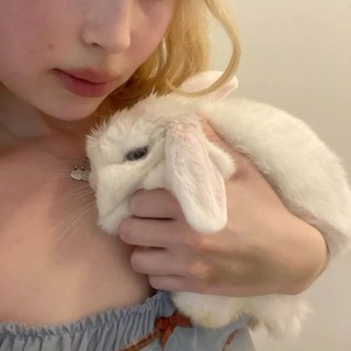𝒞icada 🐰