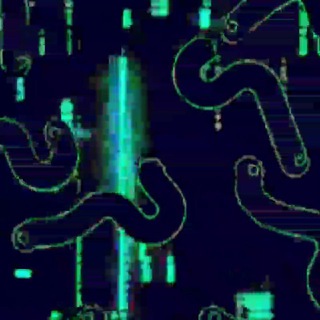 Crypto Worm 🌒
