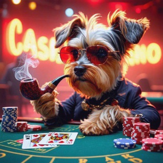CASINO BONUS