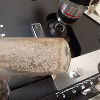 CellarLab