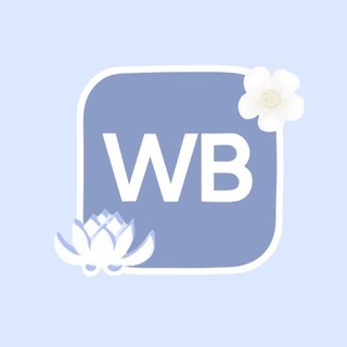 WB: Мир Моды и Экономии