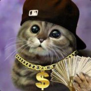 Крипто_Кот 💰