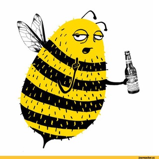 Crypto Bumblebee