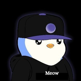 Meow Alpha 😻