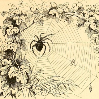 🕷Сказки Паука🕸 Лига Мечтателей|НКВД|ИКС