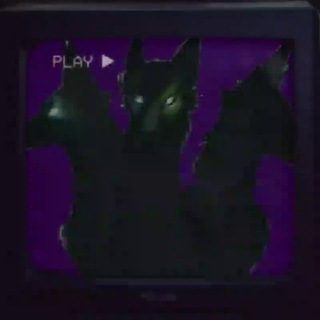 Dober_Show
