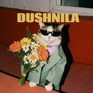 Душнила
