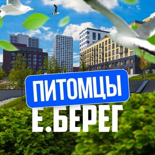 🐾 Питомцы | Европейский Берег | Евроберег