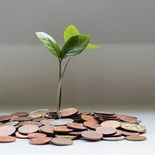 EcoBusiness