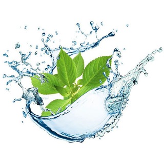 EcoHealer 🌿 Народная медицина без мифов