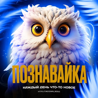 Познавайка - каждый день что-то новое 🎓