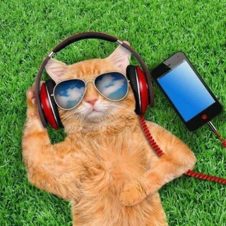 English Chatting/VoiceChat Group