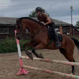 EquineEliza