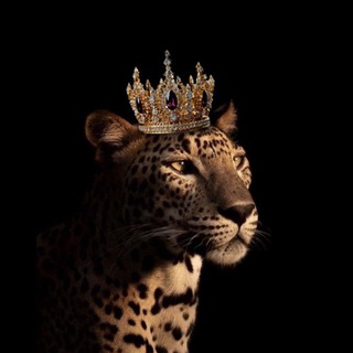 FOR YOU 👑