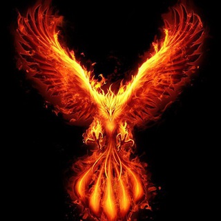 Пламя ФЕНИКСА 🐦‍🔥