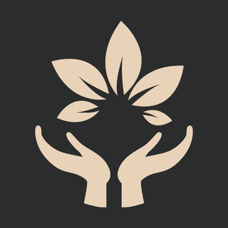 FestSpa