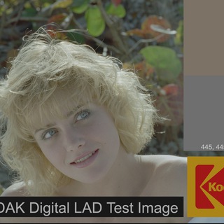 FilmTested