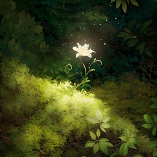 Flora Fantasy 🌿