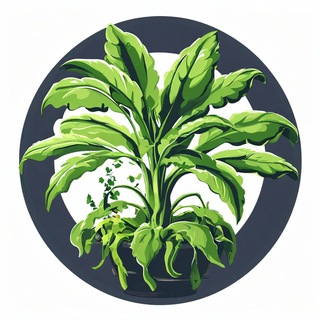 Чат FoodSeeds