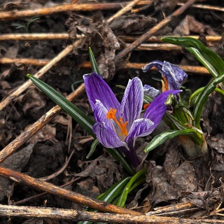 _PHOTOCLUB_