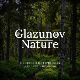 📸 Glazunov_Nature 🌲🌤️