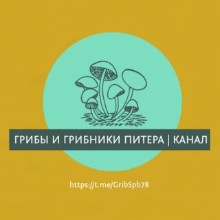 🌲 Грибы и Грибники Питера / Спб / Карелии / Лен. Области (Отчеты) | Лес | Природа