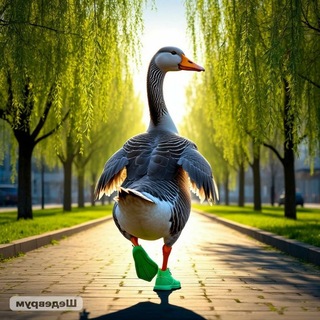 #Гусьбегусь