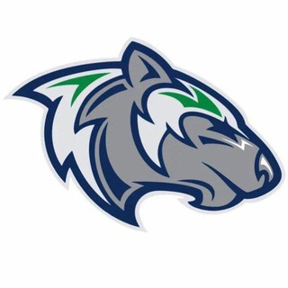 🐺Хк,,Горняк"🩵💚