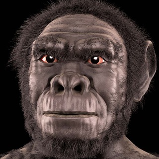 HomoHabilis